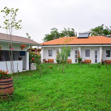 Casa Gyomar Hotel Vama Veche Exterior photo
